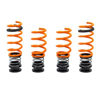 AST G90 / G99 M5 Adjustable Lowering Spring Kit