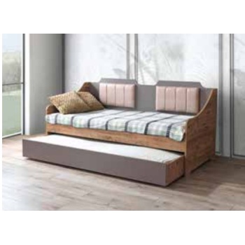 RİO SEDİR VE KARYOLA YAVRULUĞU