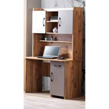 TORAK ÇALIŞMA MASASI  2 KAPAKLI