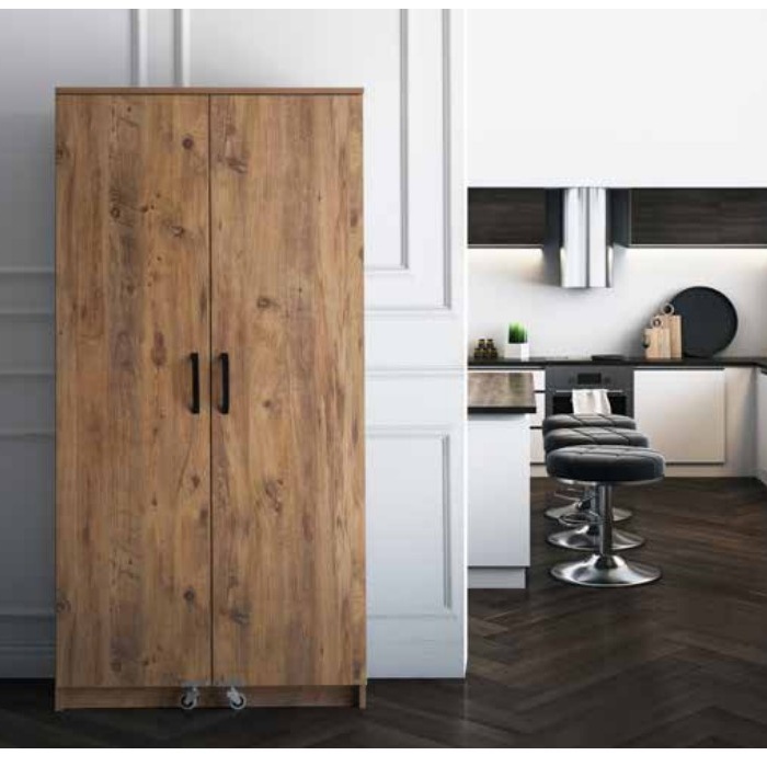 E250 2 KAPILI KİLER DOLABI