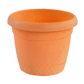 9,30 LT SAKSI ANTİK NO:4 (480 SNMZ) KL 18 ADET