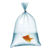 70*120 NAYLON TORBA (ÖZG)(12 MİC) (4 PAKET*5 KG)
