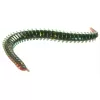 Lucky John Sandworm 4 Kokulu Lrf Yemi 10 cm