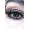 Mara Magnetic Eyelashes Maximum Intense