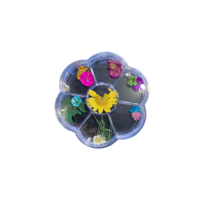 T-243 Kurutulmuş Çiçek