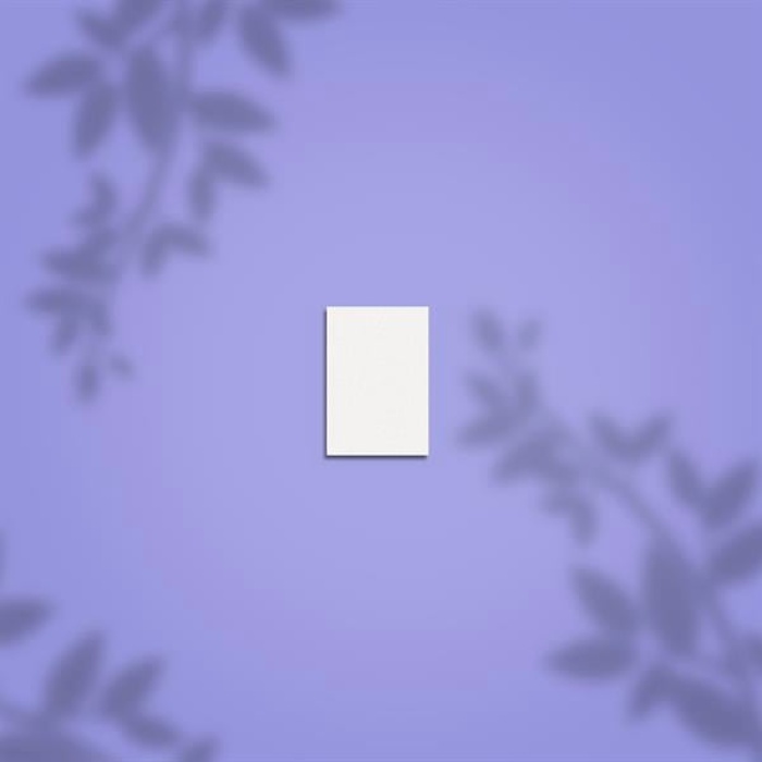 Staleks Pro Mini Buffer Törpü 100/180 50Pcs