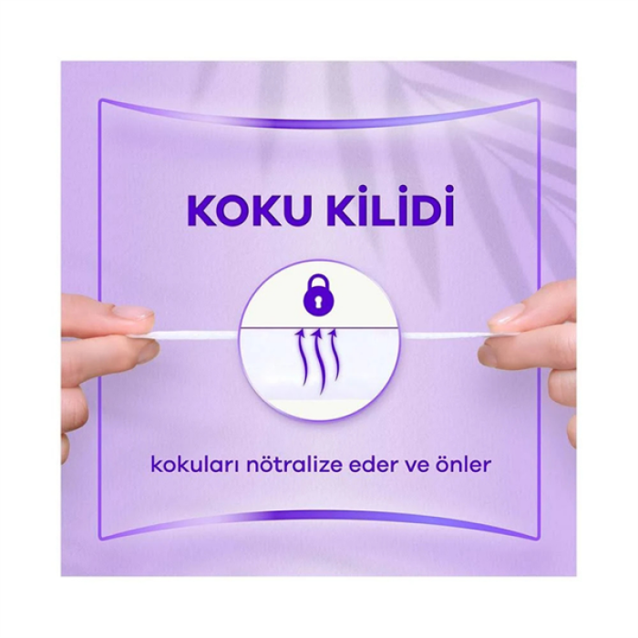 Orkid Günlük Ped 20Pcs Uzun