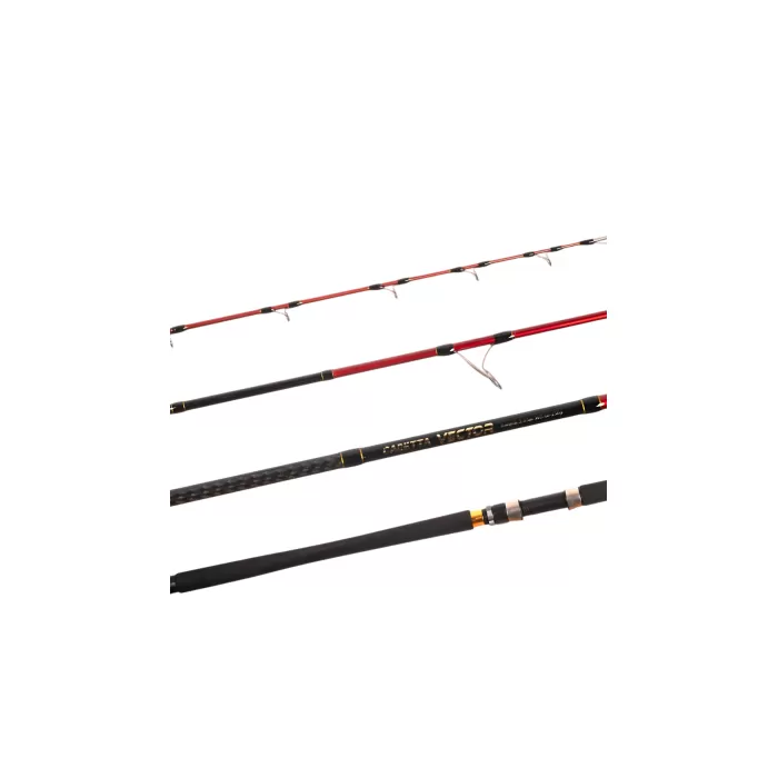 Caretta Vector 3.05 m 60-150 g Shore Jig Rod