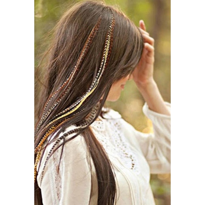 Gerçek Sülün Tüyü Paket