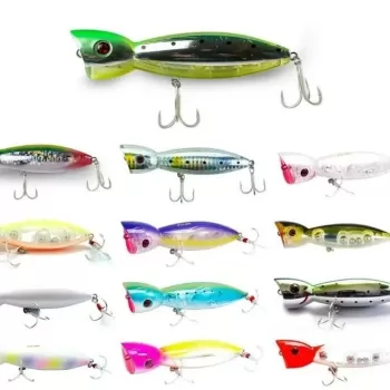 FUJIN La-Nina 10cm 24gr Su Üstü Popper