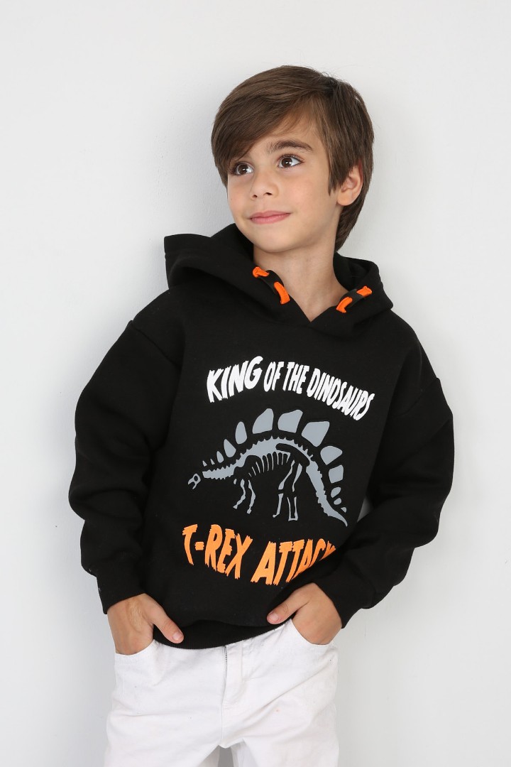 Üç İplik Şardonlu Baskılı Kapşonlu Erkek Çocuk Günlük Sweatshirt
