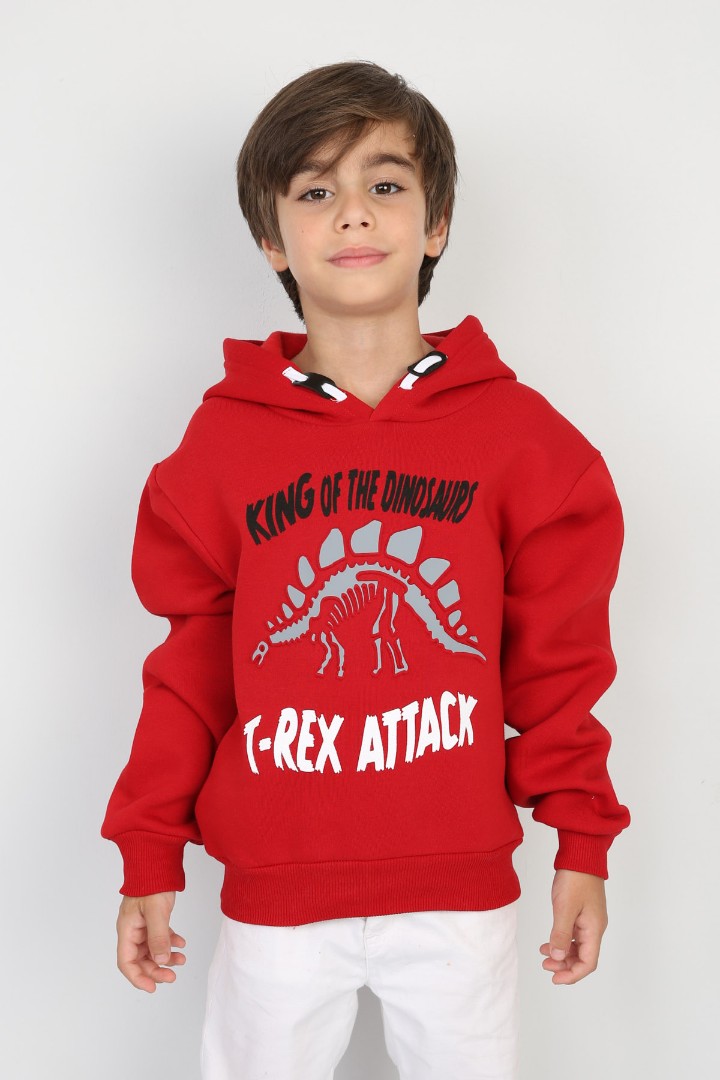 Üç İplik Şardonlu Baskılı Kapşonlu Erkek Çocuk Günlük Sweatshirt