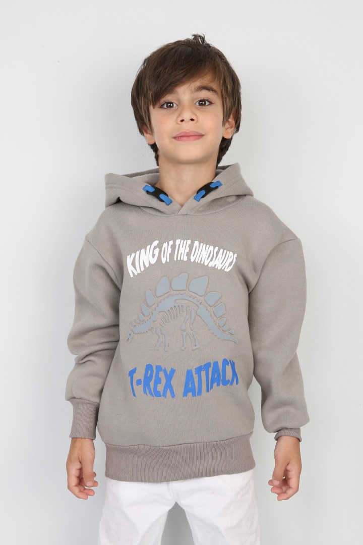 Üç İplik Şardonlu Baskılı Kapşonlu Erkek Çocuk Günlük Sweatshirt