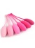 Rose 6Lı Kegel Egzersiz Topu