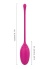 Rose 6Lı Kegel Egzersiz Topu