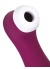 Satisfyer Pro 2 Generation 3 Telefon Kontrollü Vibratör