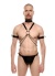 Tasmalı Pazu Bantlı Seksi Erkek Harness
