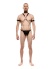 Tasmalı Pazu Bantlı Seksi Erkek Harness