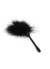 Chisa Novelties Senuelo Pleasure Feather Tickler