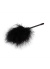 Chisa Novelties Senuelo Pleasure Feather Tickler