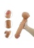 Censan Ten Rengi 34 cm Dildo Model No:1054