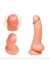 Censan Ten Rengi 20 cm Dildo Model No:1065