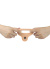 Censan 6.25 İnç The Ultra Soft Double Vibrating