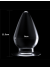 Censan Flawless Clear Anal Plug 4.5 İnç