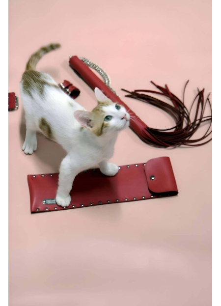 Kırbaç Kelepçe Set Kırbaç Takım Fantezi Kelepçe Takım