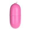 Kumandalı Yumurta Vibratör