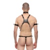 Tasmalı Pazu Bantlı Seksi Erkek Harness
