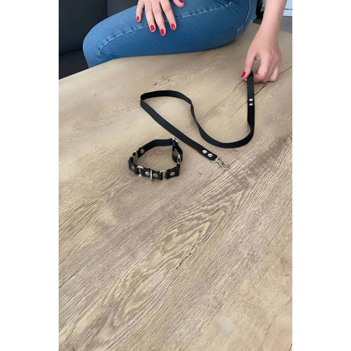 Kedi Harness  Gezdirme Ve Boyun Tasması