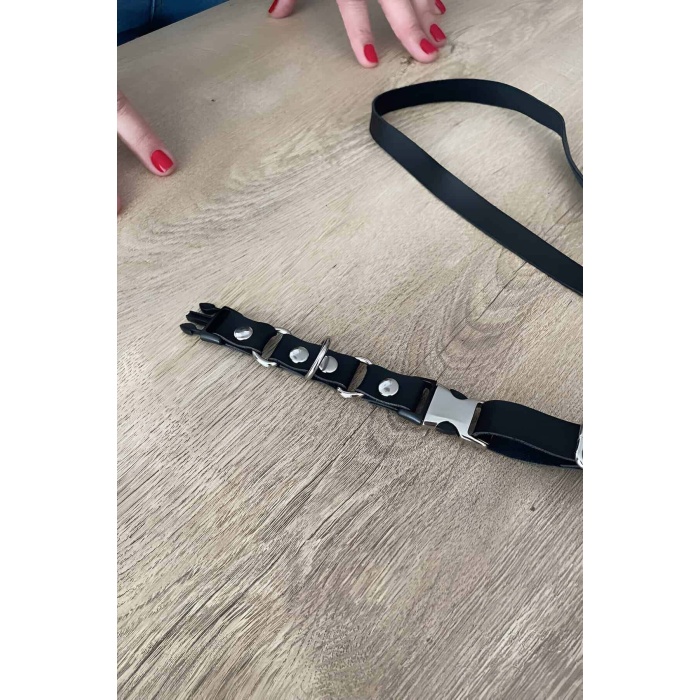 Kedi Harness  Gezdirme Ve Boyun Tasması