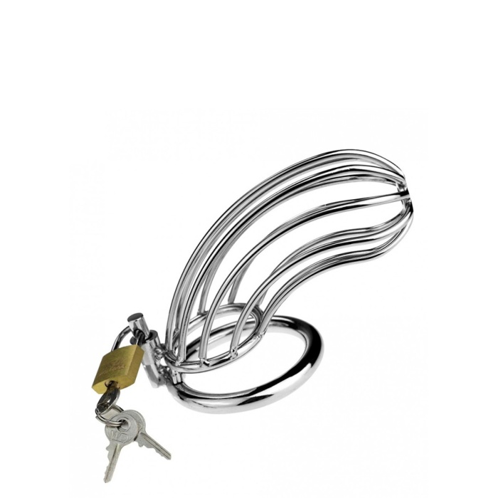 Penis Bekaret Kilidi