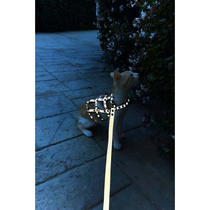 Renkli Karanlıkta Parlayan Harness Kedi Yürüme Tasması