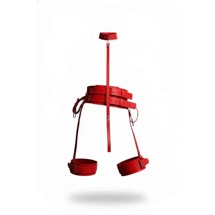 Kırmızı Harness Takım Deri Çoklu Kemerli Boyunluk Detaylı - APFT869