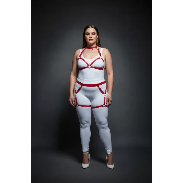 Büyük Beden Kırmızı Kadın Deri Harness Takım Jartiyerli Halka Detaylı - APFT478