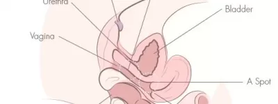 Kadın prostatı Olan A Noktasını Keşfedin