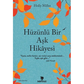 Hüzünlü Bir Aşk Hikayesi
