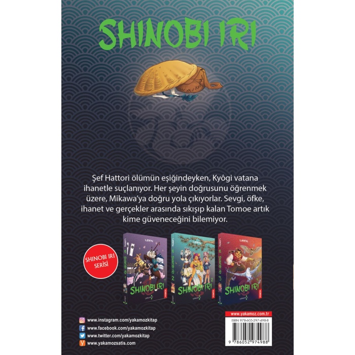 Shinobi Iri 2