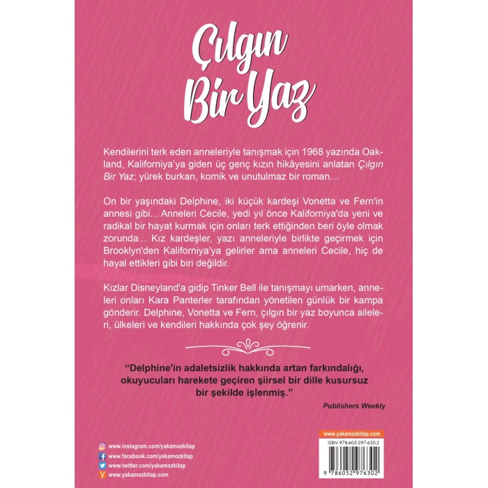 Çılgın Bir Yaz