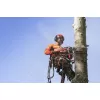 HUSQVARNA 550 XP Mark II BENZİNLİ MOTORLU TESTERE