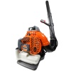 OLEOMAC BV 163 EUR5 ÜFLEYİCİ BENZİNLİ SIRT TİPİ