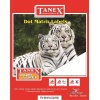 Tanex Sürekli Form Etiket 3172 Lİ 22x55 TN 0019