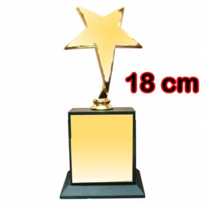 Yıldız Figürlü Ödül Kupası 18 cm.baskılı