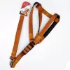 Euro Dog Köpek Uzatma Tasması ve Göğüs Tasması Takımı Kahverengi 25 Mm 120 Cm