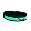 Petzz Işıklı Ayarlanabilir Flaşörlü Kedi ve Köpek Boyun Tasması Yeşil 45-52 Cm / 2.5 Cm