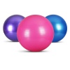 Pilates Topu 65 cm (290290)