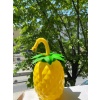 Ananas Pipetli Suluk (290290)