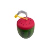 Karpuz Tasarımlı Pipetli Suluk 900 ML (290290)